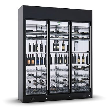 Винный шкаф Enofrigo Wine Library 3P