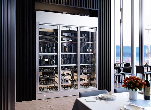 Винный шкаф Enofrigo Wine Library