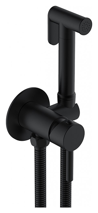 Душ гигиенический CEZARES CZR-SET-DA1-ID2-FMM120-NOP, черный матовый