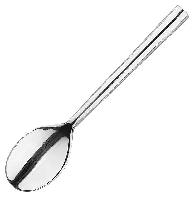 Ложка кофейная Kunstwerk Calypso E013F-6 l=11 см с головкой l=3,5 см (нерж. сталь)