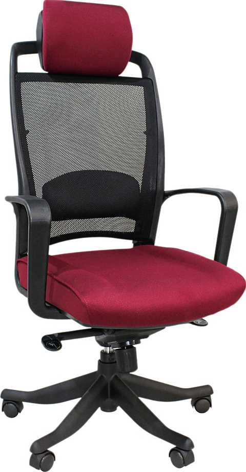 283, черно-бордовый