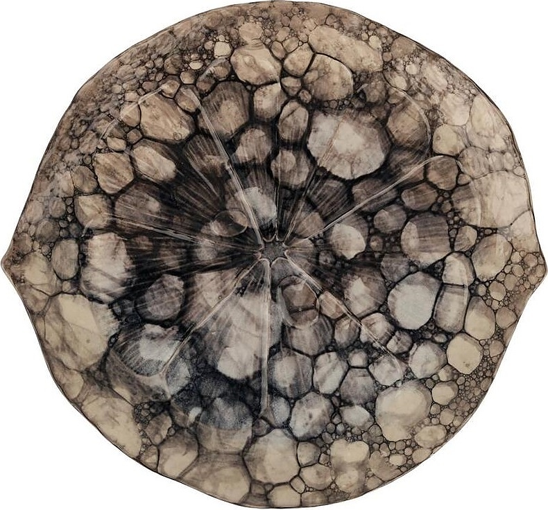 Pebbles Clear Ice Dark Gray Frutti di Mare B240020631-2410X 30, 5х28, 7 см h = 3, 3 см (керамика)