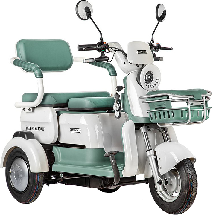 Трицикл Rutrike Gelbert Mercury зеленый
