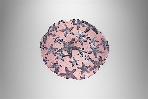 Блюдо CASA DI FORTUNA Estrella De Mar CDF 11134-2107104 330 мм