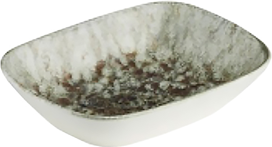 Салатник прямоугольный Kutahya Corendon Unearth BNEO14KR890550 декор 1