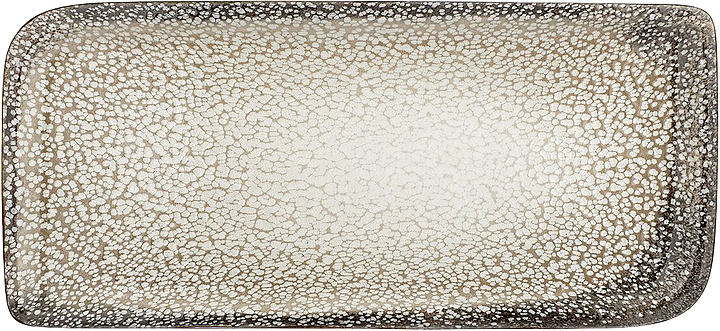 Блюдо прямоугольное By Bone Tinta Spazio TN-SZ-AR-28-DT 24х15 см