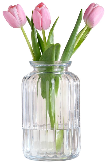 Ваза для цветов Pasabahce Ботаника 75160 d 102 мм h 230 мм