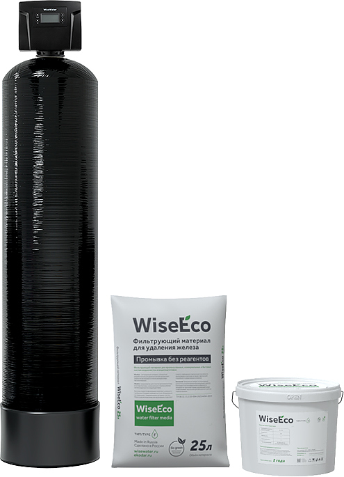 Система обезжелезивания WiseWater WWFС-1354 DMCan89 WiseEco F/X