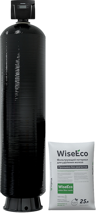 Система обезжелезивания WiseWater WWFС-1665 DMCan89 WiseEco F