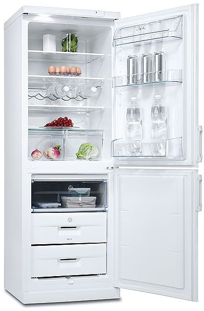 Холодильник Electrolux Professional ERB 31098 W