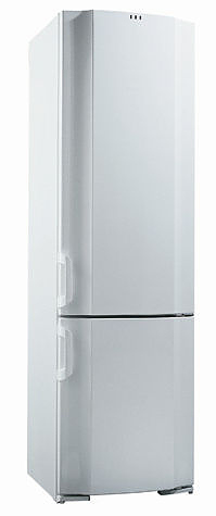 Холодильник Gorenje RK 61391 W
