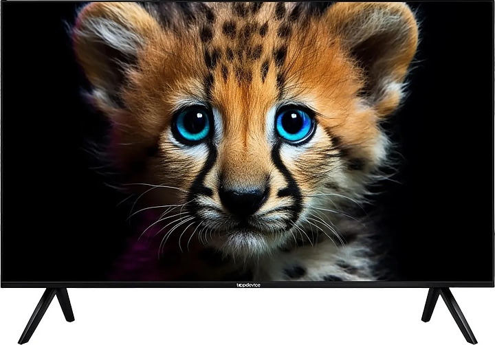 Телевизор Topdevice TDTV55ES13U_BK