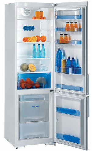 Холодильник Gorenje RK 63393 W