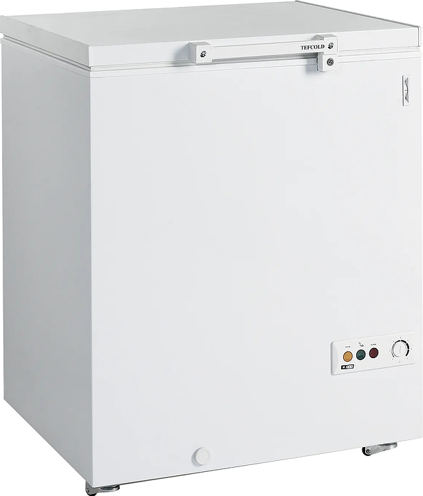 Ларь морозильный TEFCOLD FR205 SL