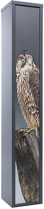 Сейф оружейный AIKO Беркут 3 Print