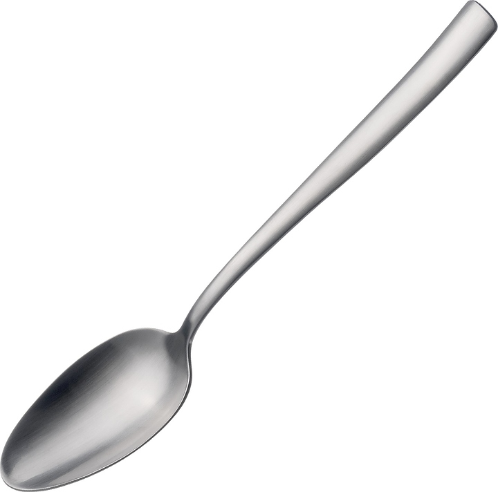 Ложка столовая Pintinox Villa Satin 255U0001 l=20,8 см (нерж. сталь)