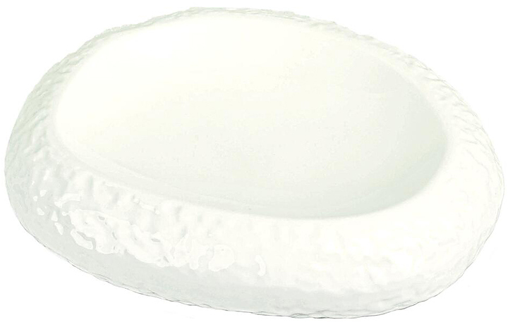 Блюдо для подачи P.L. Proff Cuisine Organic F3002-9 22х18 см