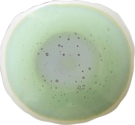 Тарелка Jars Plume 963051