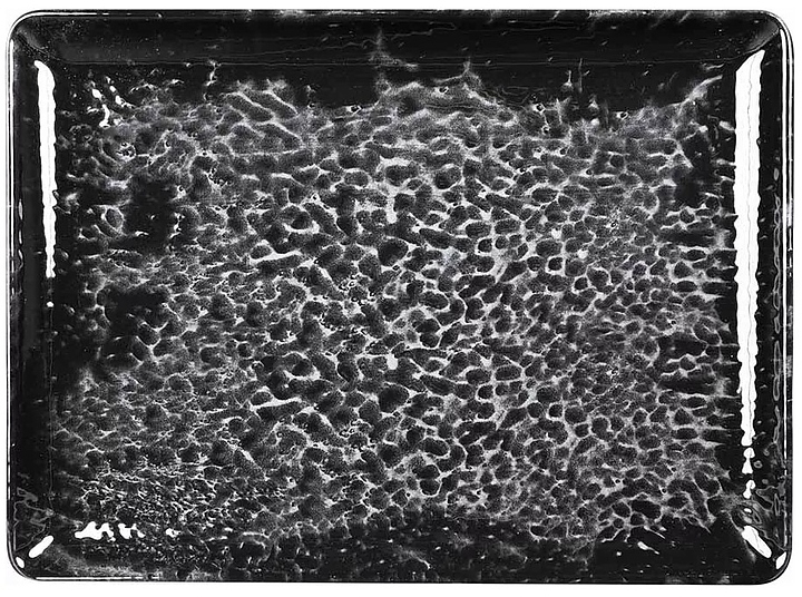 Тарелка плоская прямоугольная Kutahya Magnetite BNTAN27x20DU890220 270х200 мм