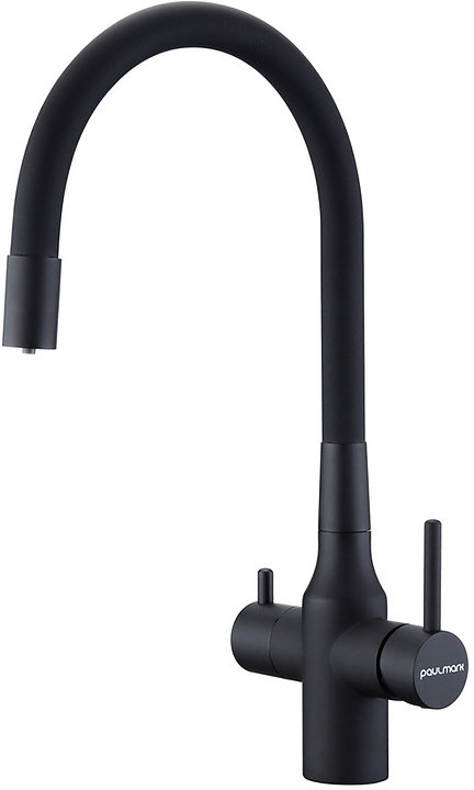 Смеситель для кухни Paulmark Salix Sa213419-401