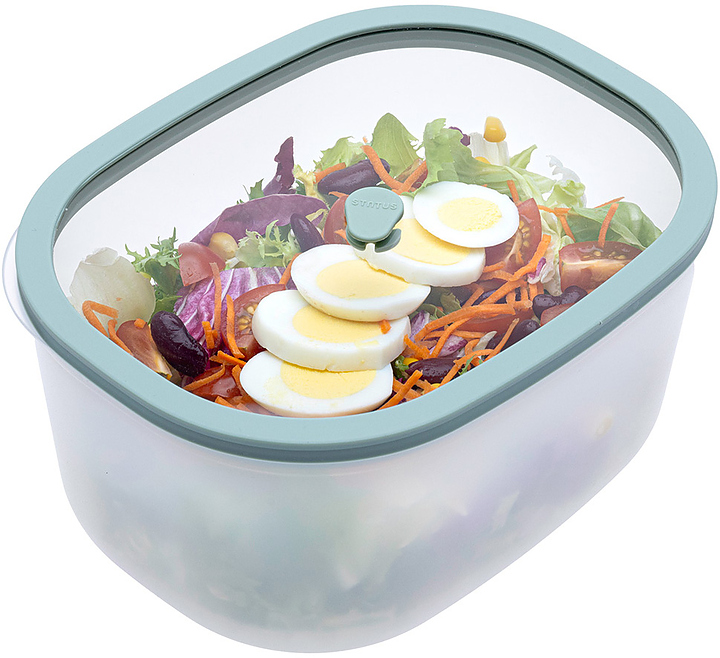 Контейнер вакуумный Status Fresko 23 mint