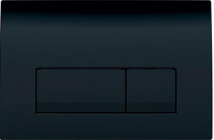 Кнопка смыва Geberit Delta 50 115.119.DW.1 глянцевый черный