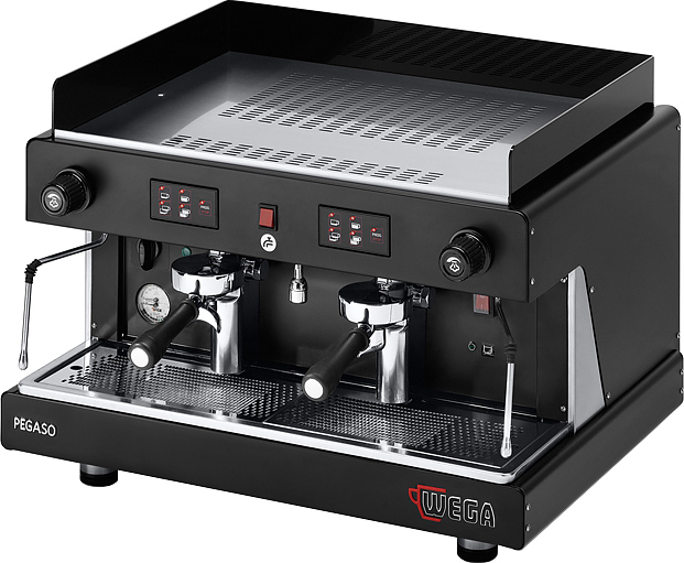 Кофемашина Wega Pegaso EPU 2PG (высокие группы)