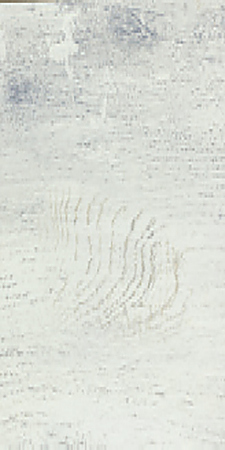 Ламинат Alsapan Visual 544W дуб окрашенный