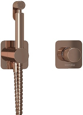 Встраиваемый комплект для биде со шлангом Wasserkraft Paar 8800 A8851.290.292.335 золото розовое