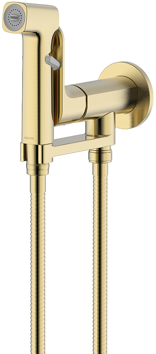 Душ гигиенический Aquatek Альфа AQ1919BG золото