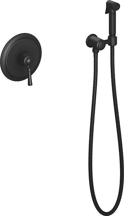 Смеситель для биде с гигиеническим душем TIMO Arisa 5309/03SM встраиваемый, черный