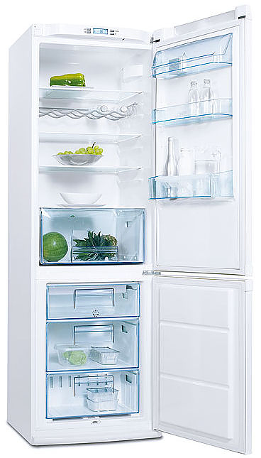 Холодильник Electrolux Professional ERB 36402 W8
