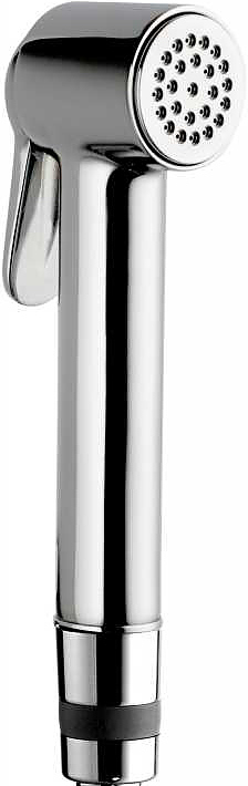 Гигиенический душ Bossini Paloma Brass B00470.030