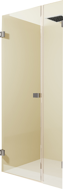 Душевая дверь RIHO SCANDIC MISTRAL M102 100х200, L