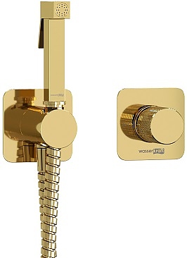 Встраиваемый комплект для биде со шлангом Wasserkraft Ems 7600 A7651.280.238.216 золото глянцевое