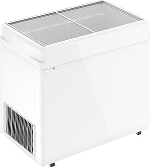 Ларь морозильный Frostor F 300 C белый