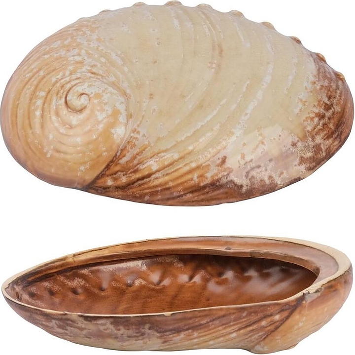 Салатник P.L. Proff Cuisine Pearl Ammonite Shell Frutti di Mare B240020619-2410Q 365 мл 19х14,5 см h=5 см (керамика)