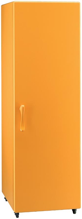 Однокамерный холодильник SMEG FPD34GD
