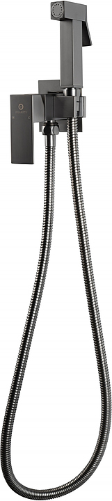 Душ гигиенический со смесителем FILARETE Fing FL101BG, графит