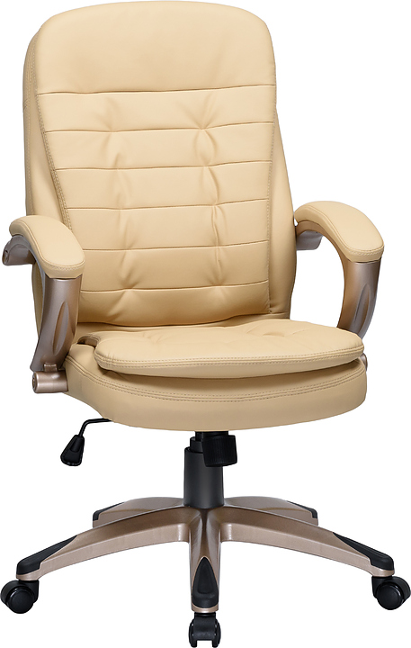 Кресло офисное для руководителей DOBRIN 106B-LMR DONALD (бежевое)