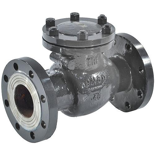 Клапан обратный Россия поворотный 19с53нж Ду 125 Ру40 фл Китай