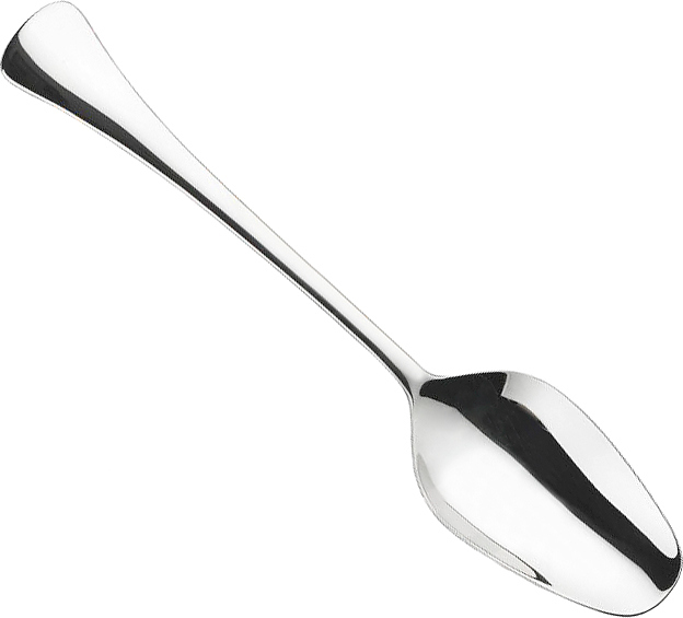 Ложка сервировочная Pintinox Carlton 17800011