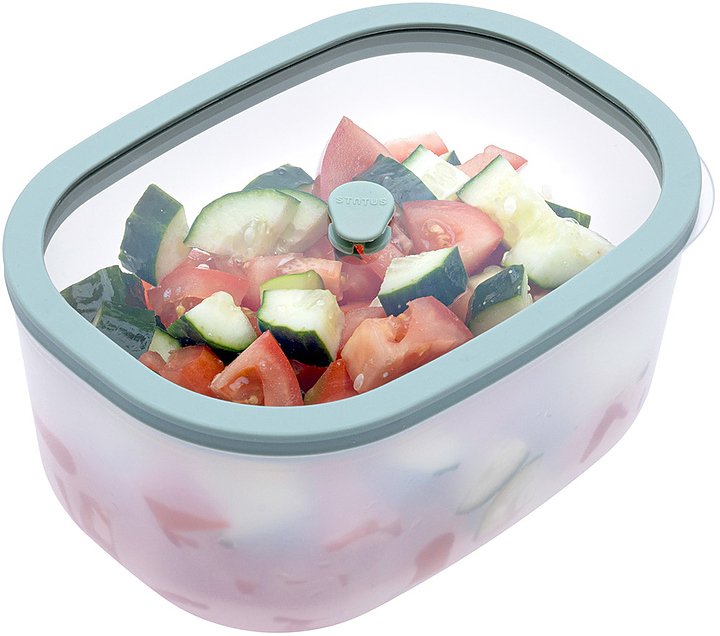 Контейнер вакуумный Status Fresko 14 mint