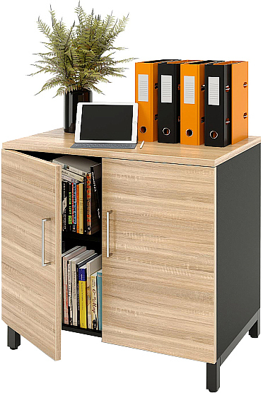 Шкаф для документов ZAMM 2 полки, 2 двери МК 600 90х60х83,7 см фасад дуб Бардолино, корпус черный