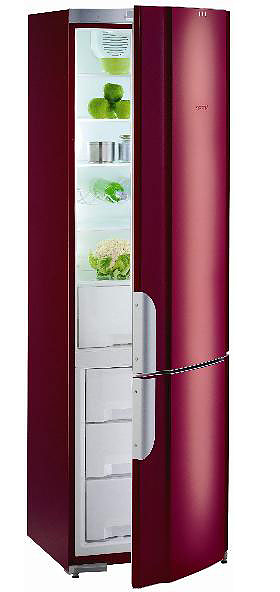 Холодильник Gorenje RK 62391 R