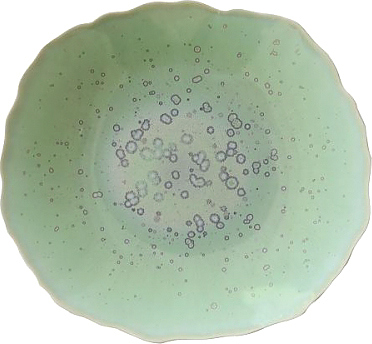 Тарелка Jars Plume 963052