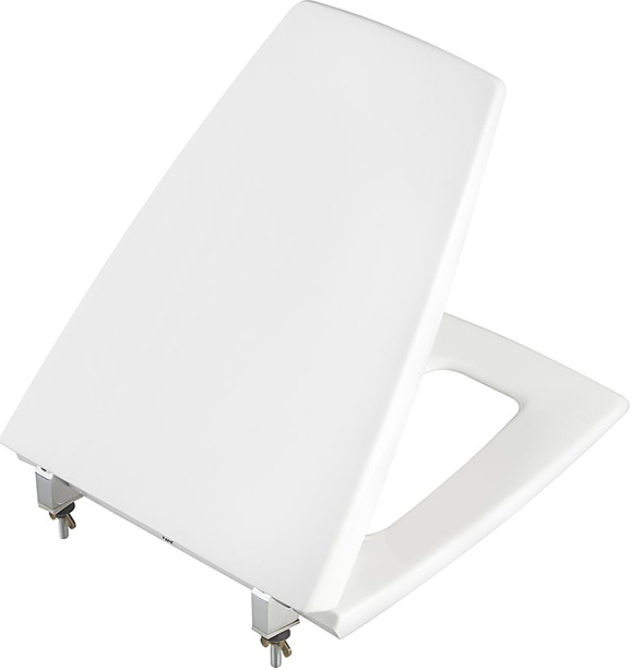 Сиденье для унитаза TOTO Jewelhex TC375CVKR#W белый