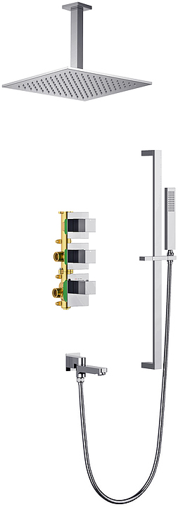 Комплект душевой TIMO Selene SX-2239/00SM