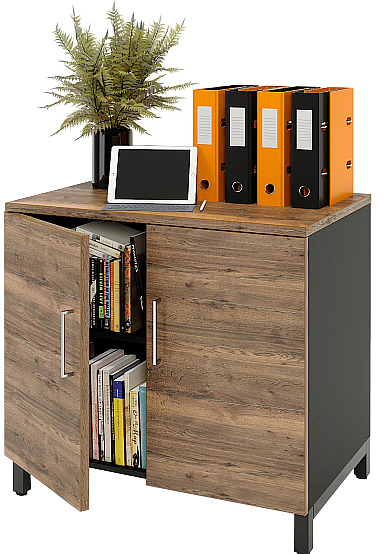 Шкаф для документов ZAMM 2 полки, 2 двери МК 600 90х60х83,7 см фасад дуб Галифакс олово, корпус черный