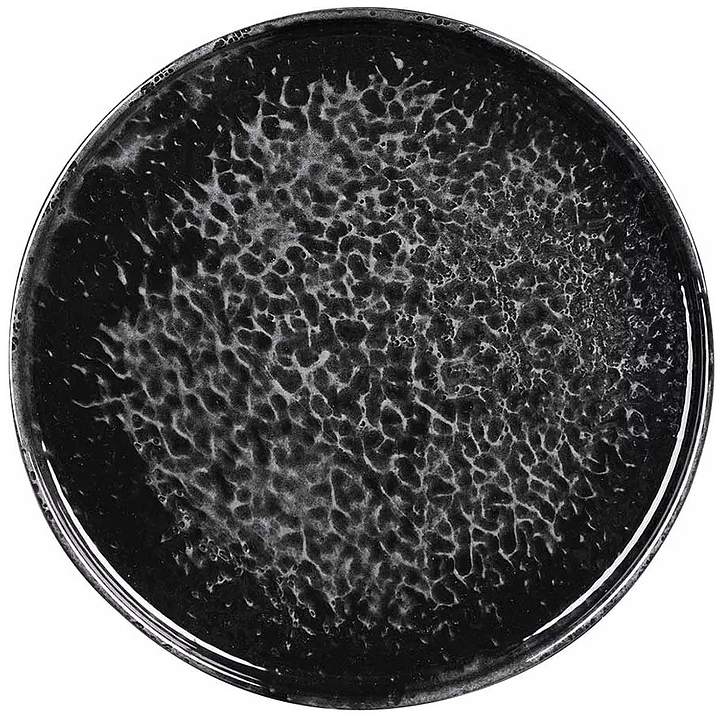 Тарелка с плоским дном Kutahya Magnetite BNROT28DU890220 280 мм